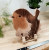 Robin Board with Stand  + £4.95 